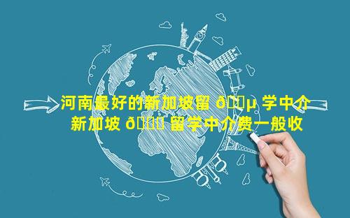 河南最好的新加坡留 🌵 学中介 新加坡 🕊 留学中介费一般收多少